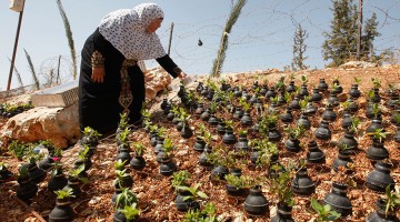 Palestinian-Woman-Plants-Flowers-In-Israeli-Tear-Gas-Grenades