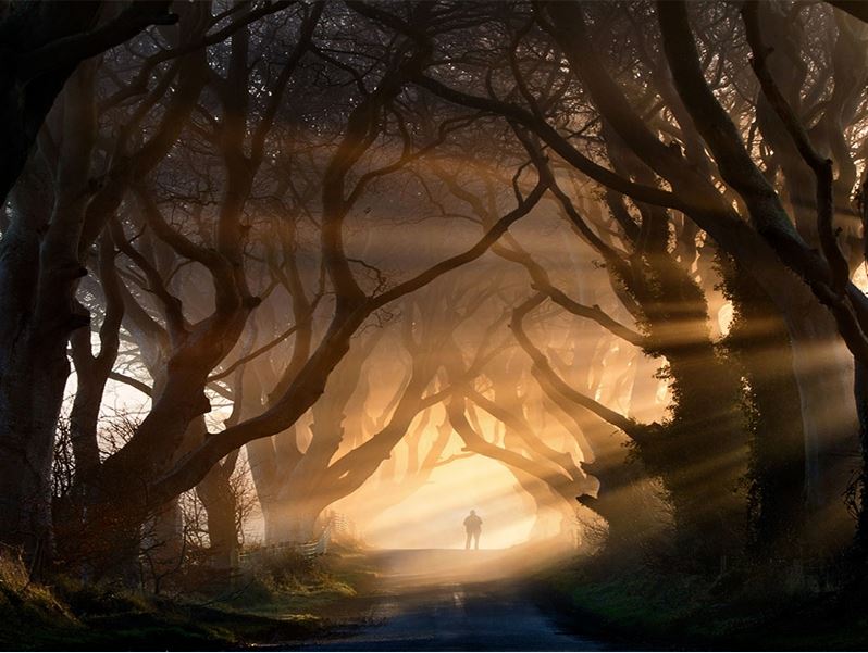 The-Dark-Hedges-In-Northern-Ireland.jpg