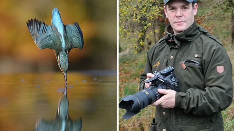 perfect-kingfisher-dive-photo-wildlife-photography-alan-mcfayden-after-6-years-and-720,000-attempts
