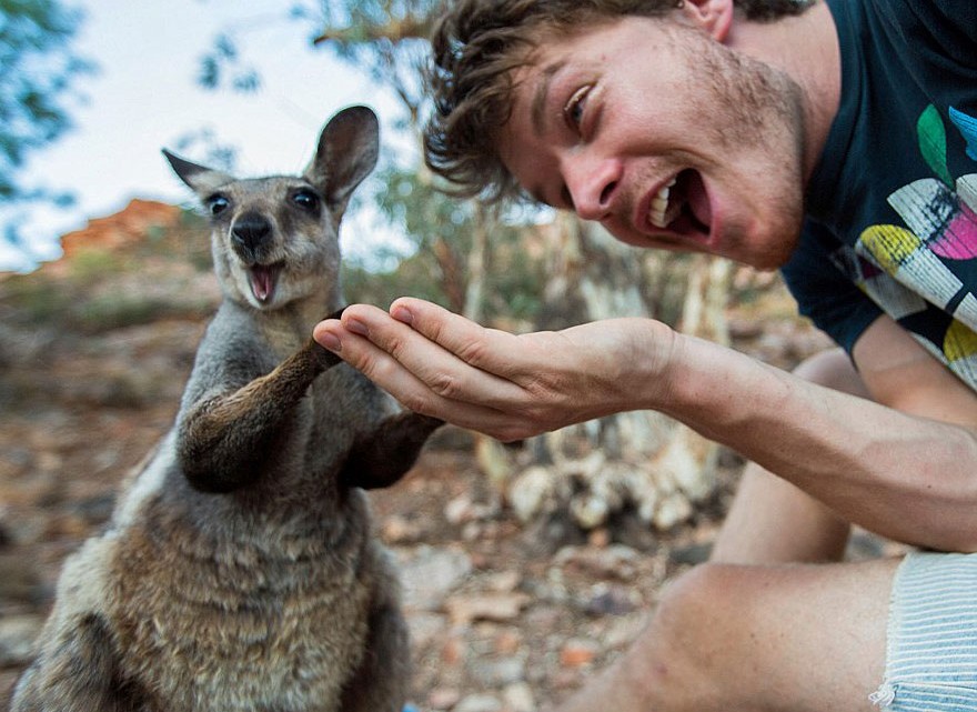 funny-animal-selfies-allan-dixon-art-of-animal-selfies