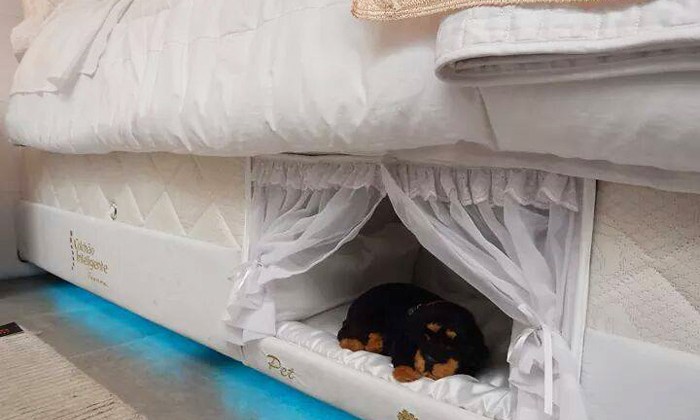 pet-bed-inside-mattress-colchao-inteligente-postural