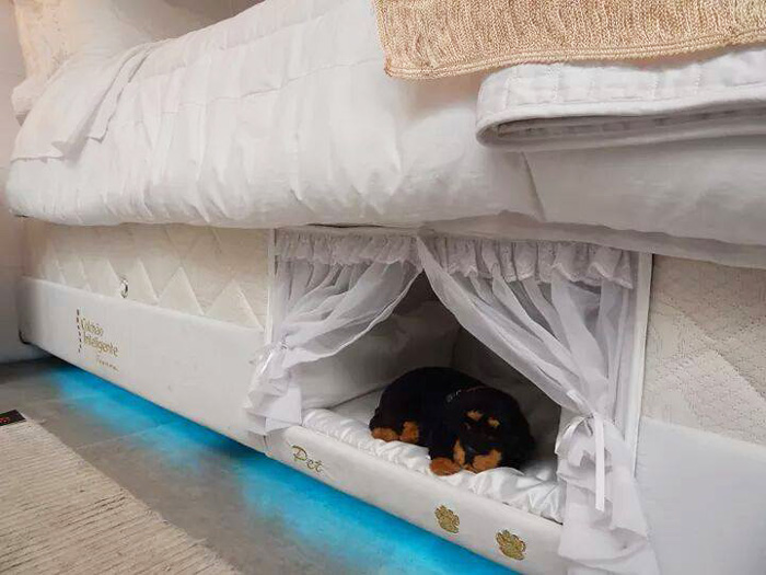 pet-bed-inside-mattress-colchao-inteligente-postural
